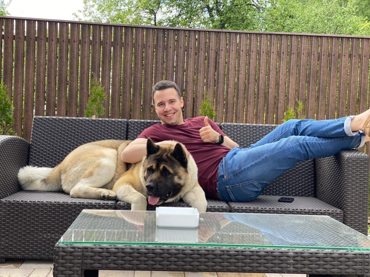 Американская акита питомник RUBYLIGHT. Американская акита I Сиба ину I Питомник RUBYLIGHT