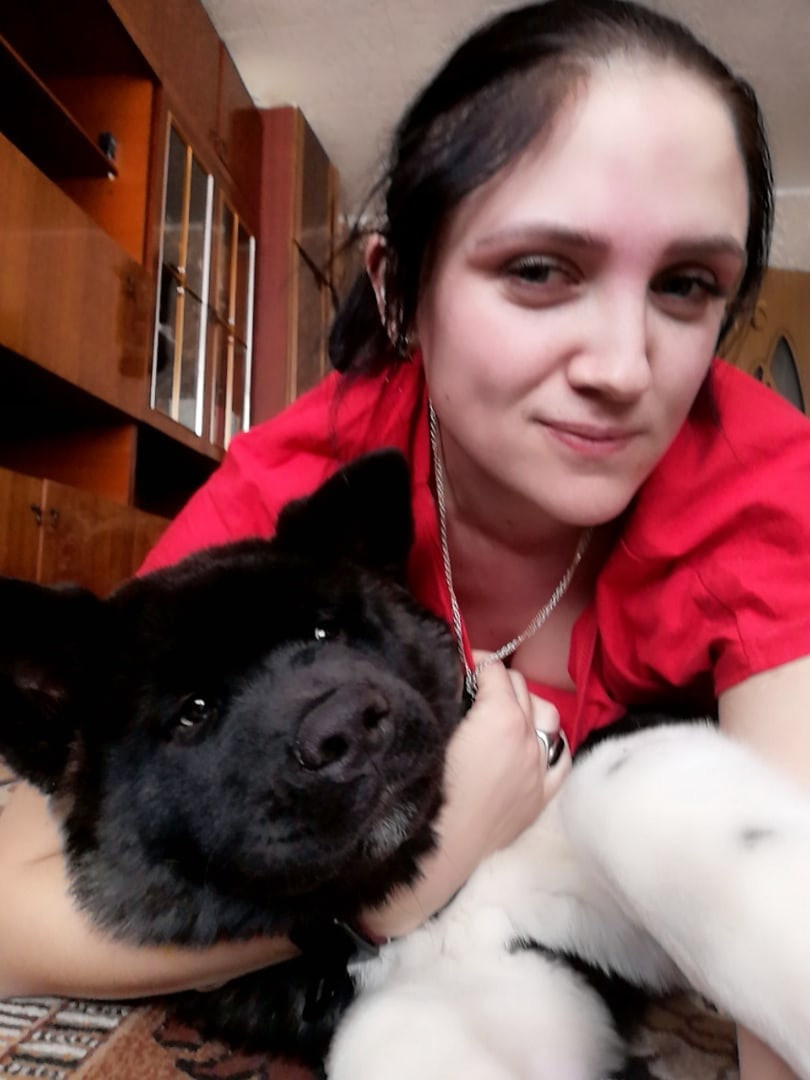 Rubylight Grom Американская акита питомник Рубилайт