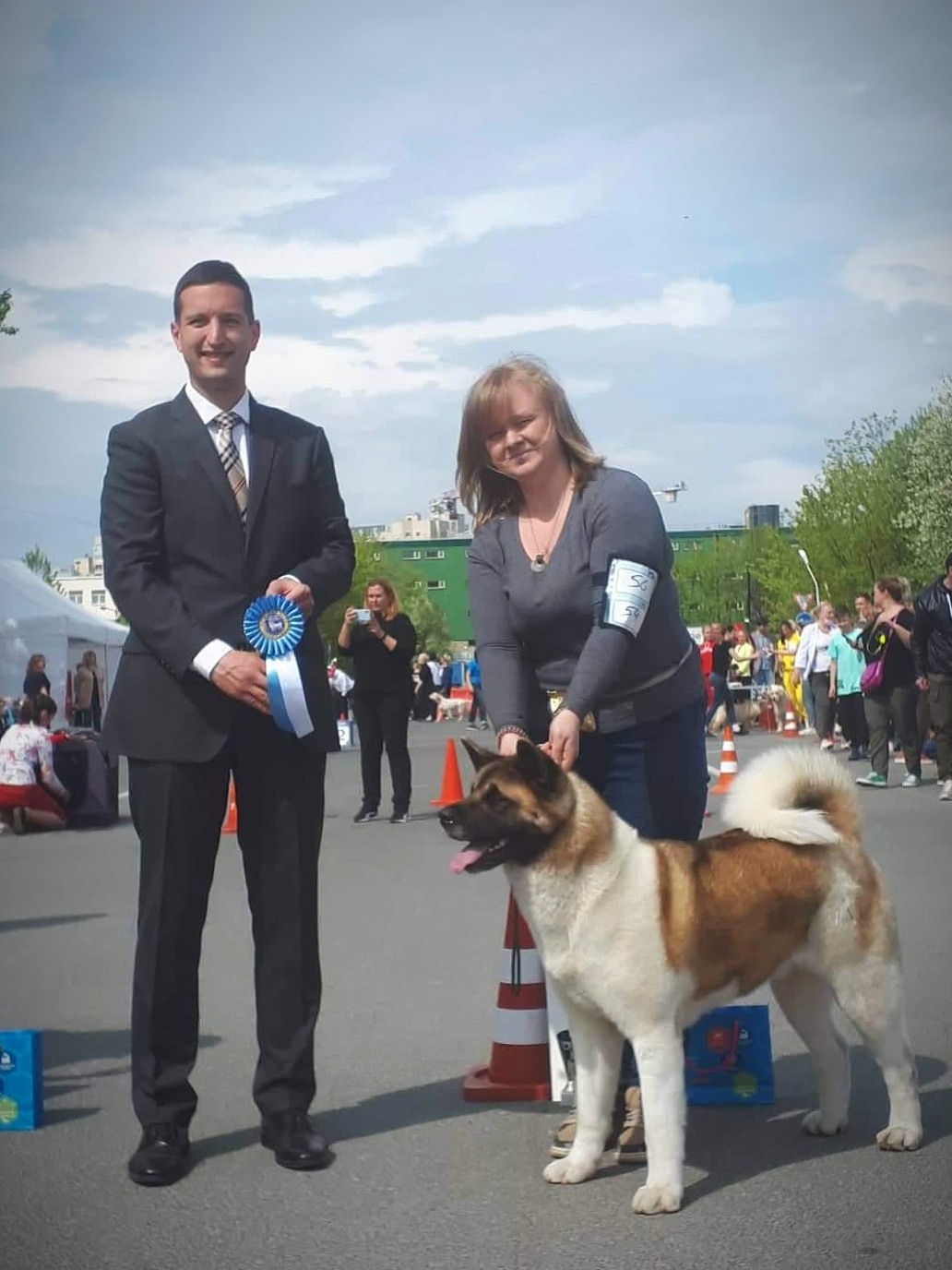 Американская акита питомник RUBYLIGHT. Американская акита I Сиба ину I Питомник RUBYLIGHT