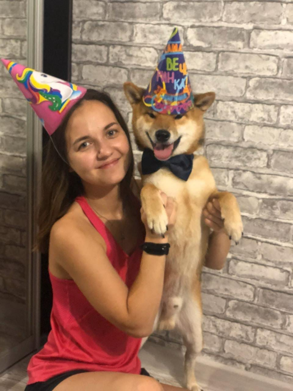 RUBYLIGHT DIN WINCHESTER. AMERICAN AKITA RUBYLIGHT KENNEL I SHIBA-INU