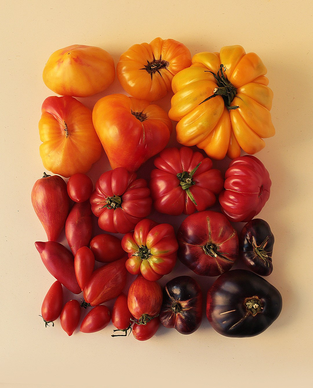 Предметный креативный фотограф и фотостудия в Москве