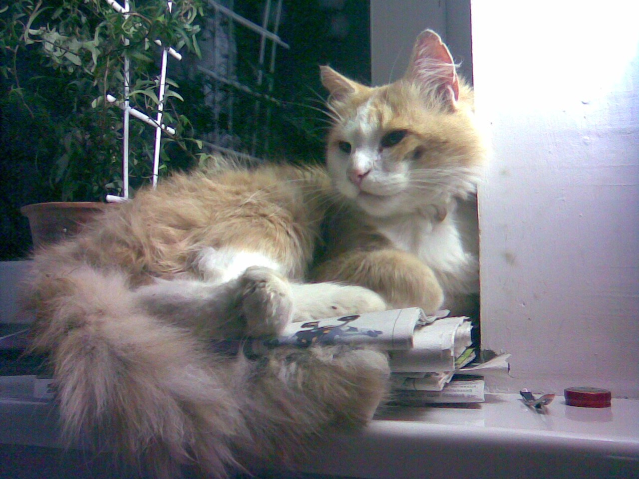 Nokia 7370. Михаил Барановский