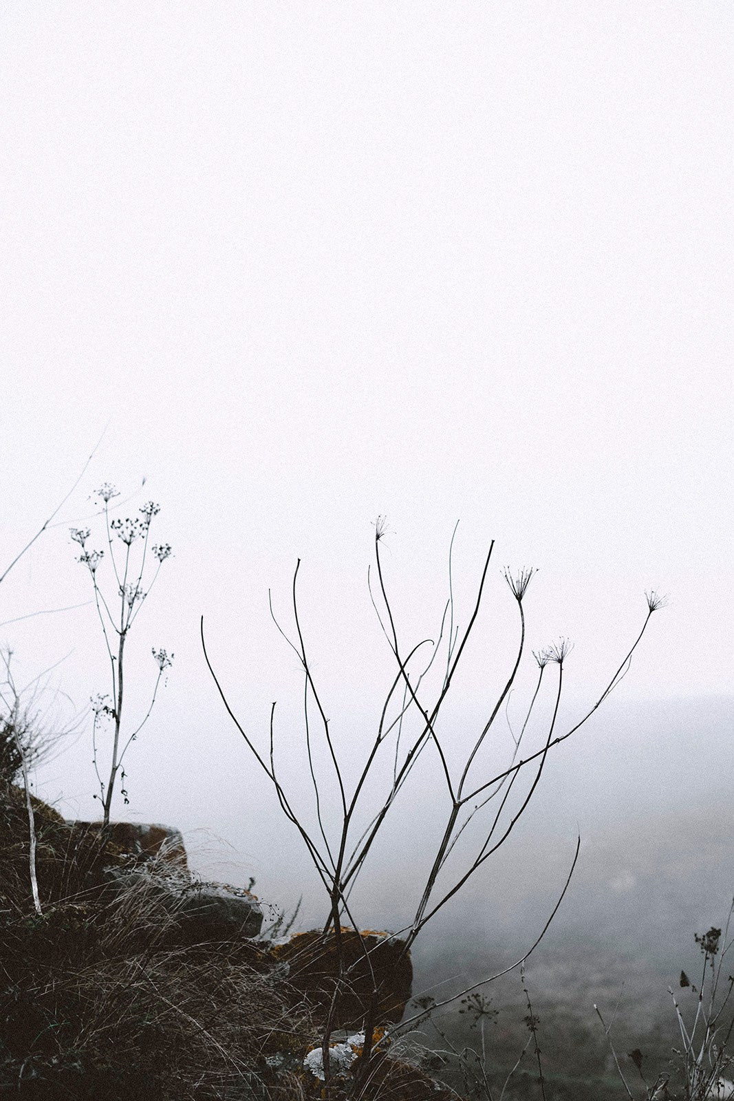 Prints. North Ossetia