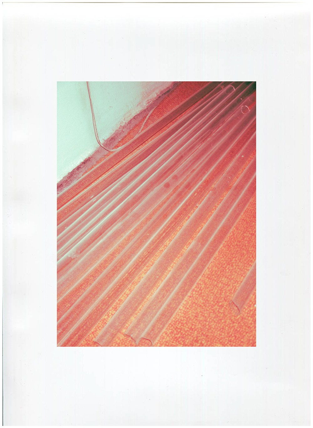 'YUSTINA' in Saint P. Nik Paustovskiy photography