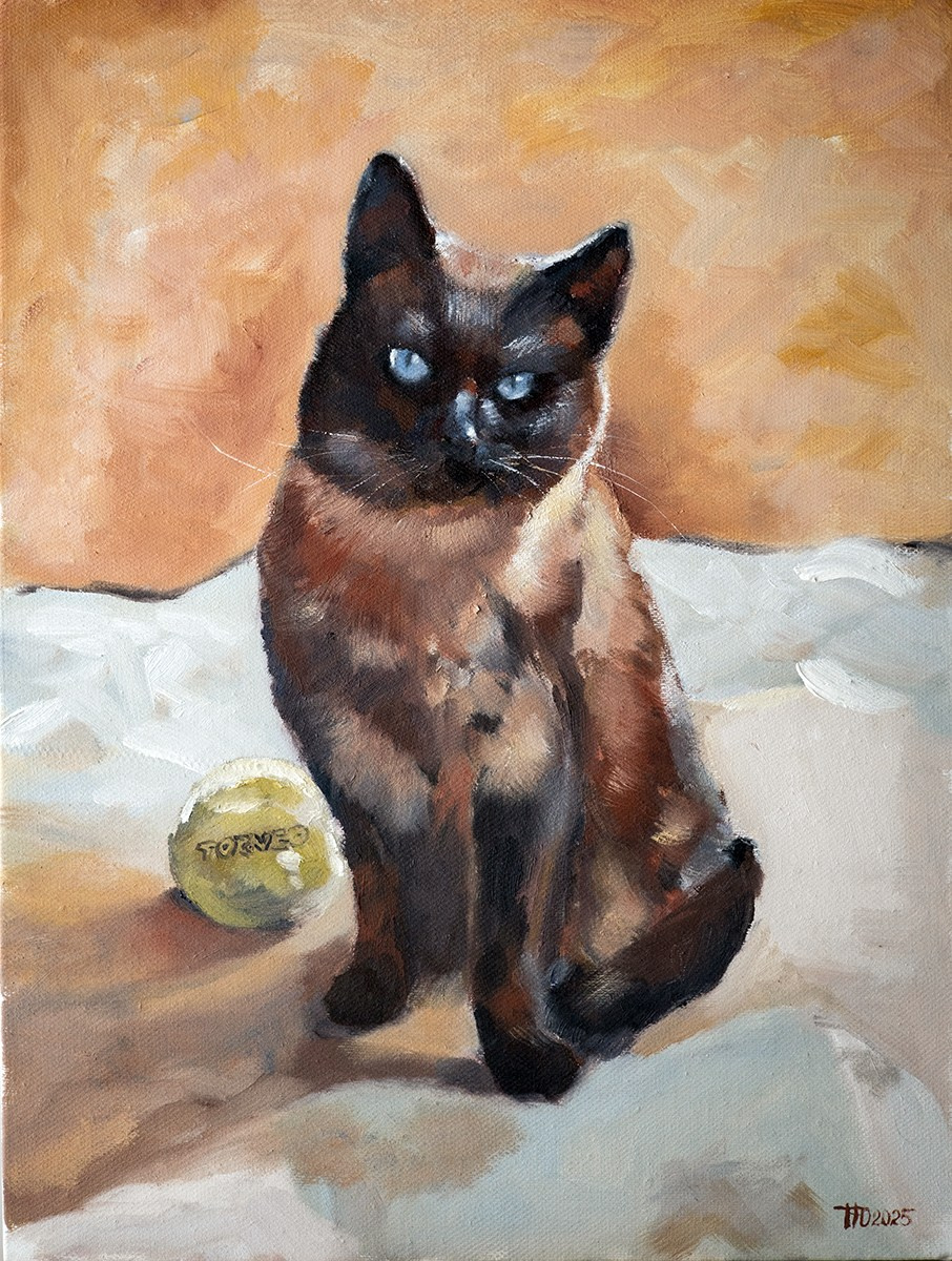 Кошки. Художник и Фотограф Тимохина Юлия