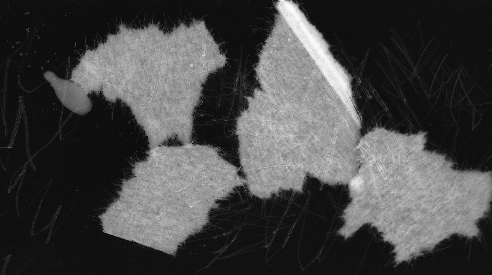 ⬊. Фотограф Денис Персенен | Санкт-Петербург, Москва