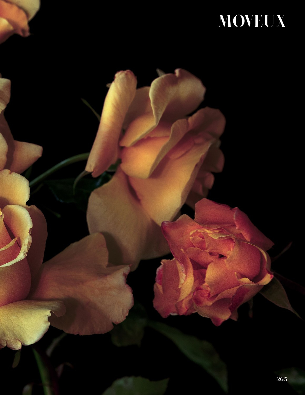 Exhibitions. Author’s fine art prints with international delivery