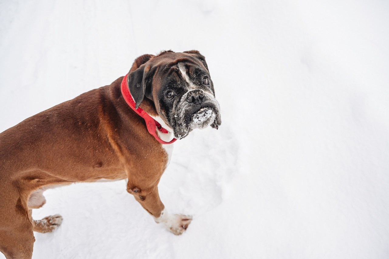 Отзывы о фотографии Шаховская
