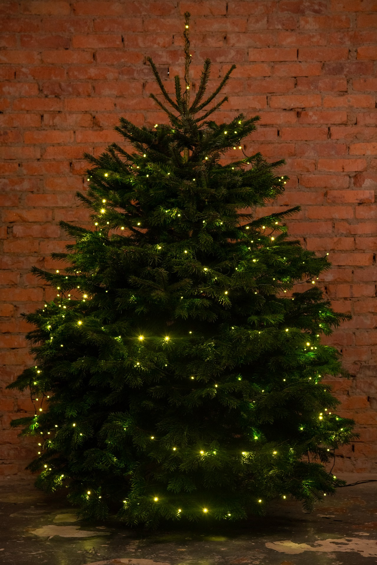 Предметная съемка елок. Фомина Елена Свадебный и семейный фотограф