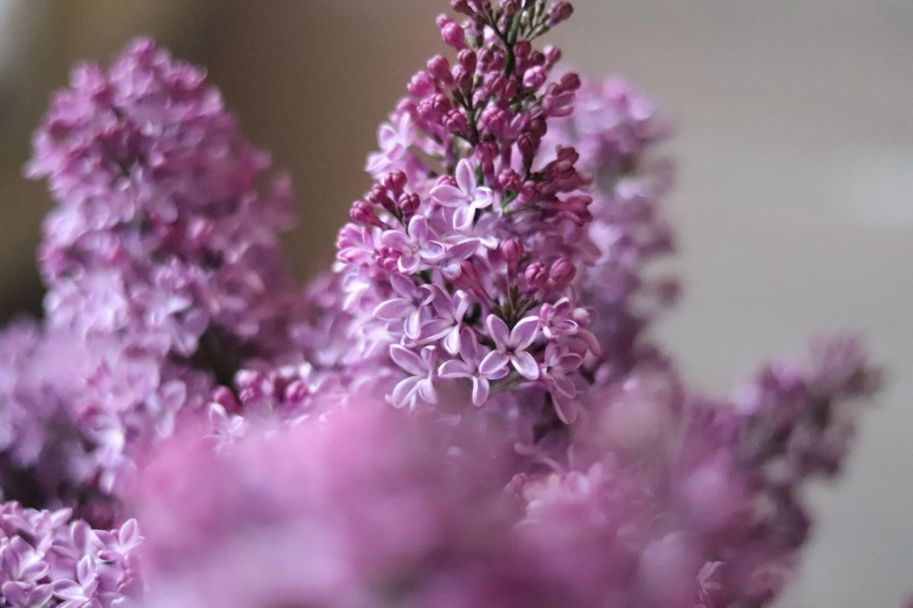 Мир в деталях. DariaVolz — photo shoots in Europe and Russia