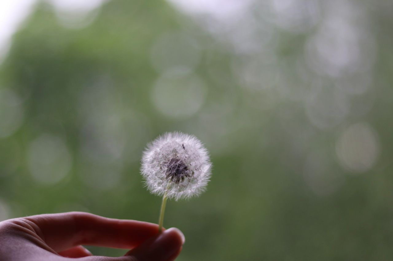 Мир в деталях. DariaVolz — photo shoots in Europe and Russia