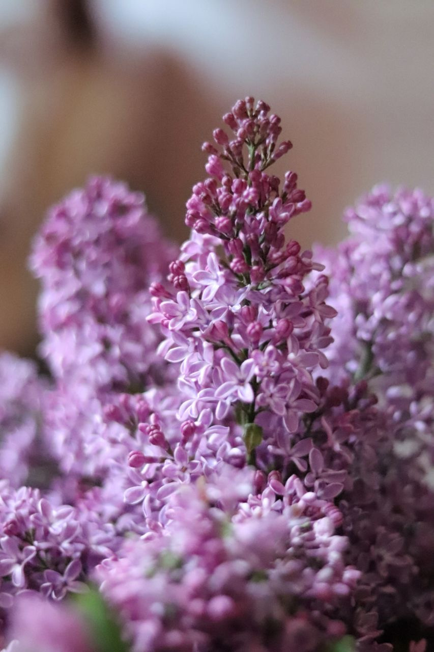 Мир в деталях. DariaVolz — photo shoots in Europe and Russia