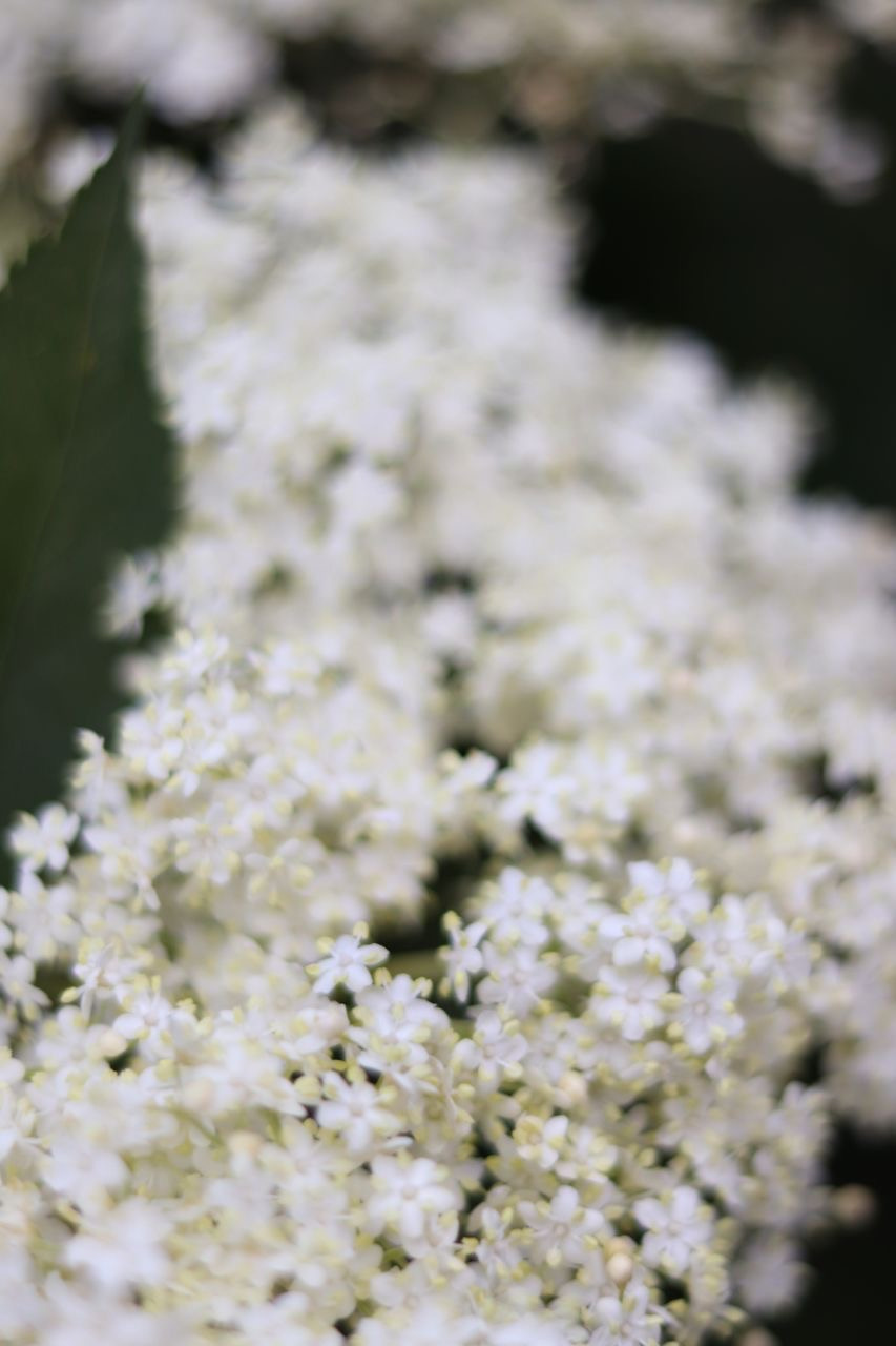 Мир в деталях. DariaVolz — photo shoots in Europe and Russia