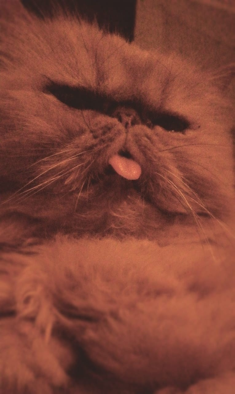 Творческий подход. Фотограф г. Владивосток