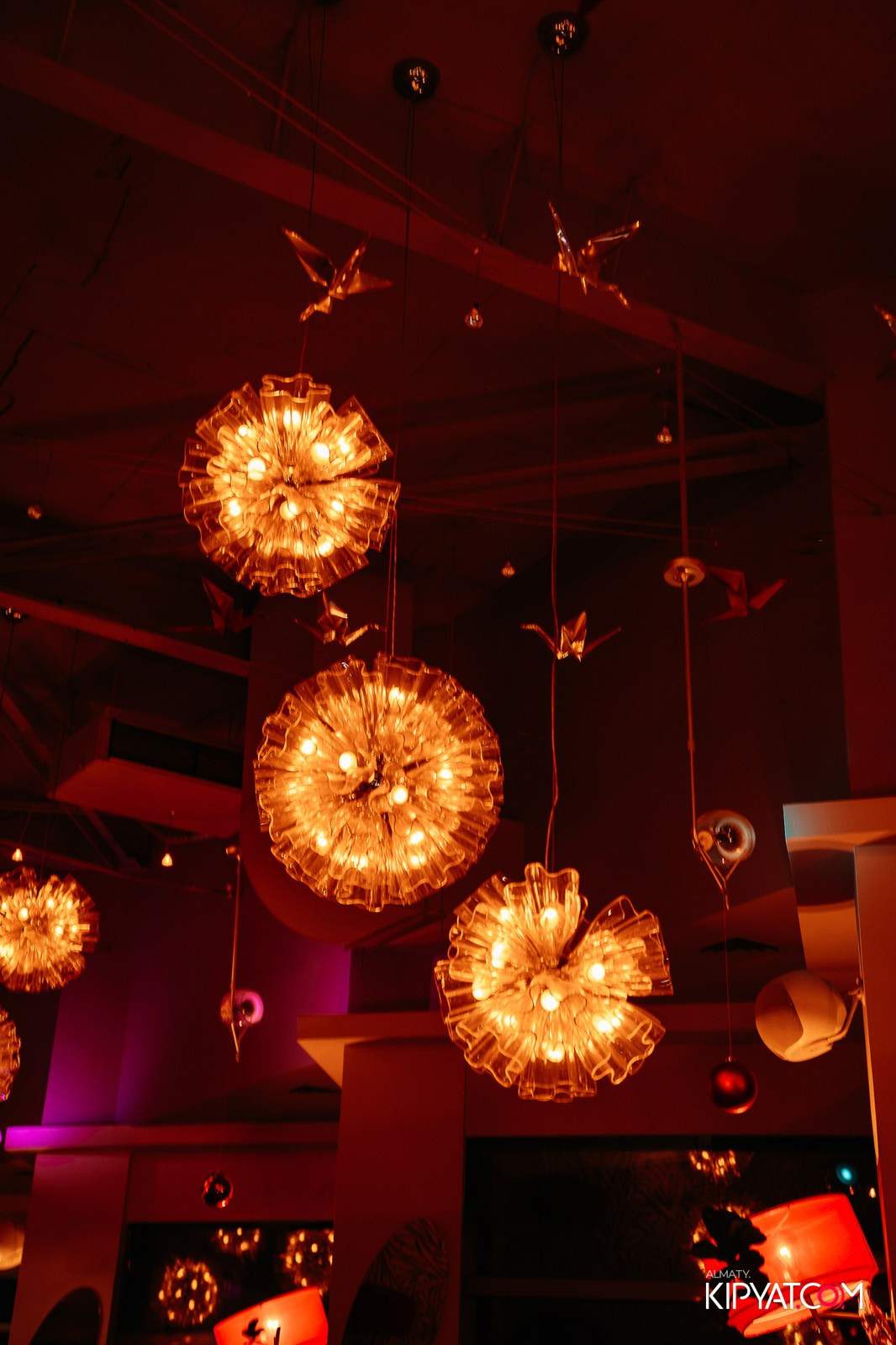 РЕСТОРАН BARFLY. КИПЯТКОМ АЛМАТЫ!