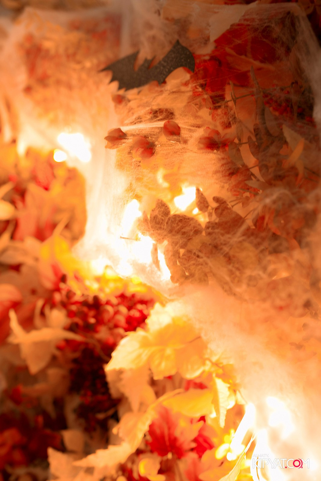 УХО И МЕДВЕДЬ НА КУРМАНГАЗЫ. КИПЯТКОМ АЛМАТЫ!