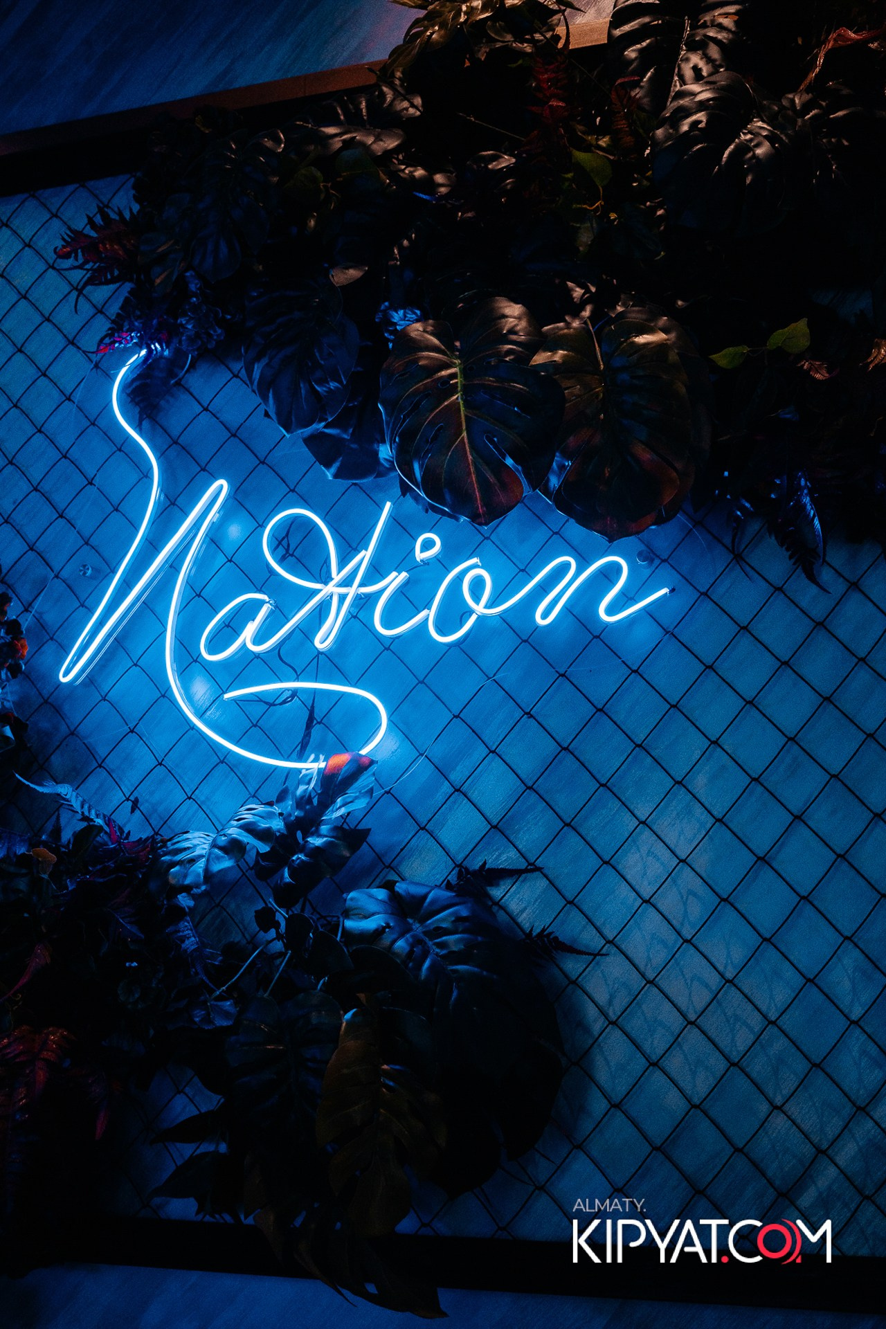 Дорогая. Я Не Пил. КИПЯТКОМ АЛМАТЫ!