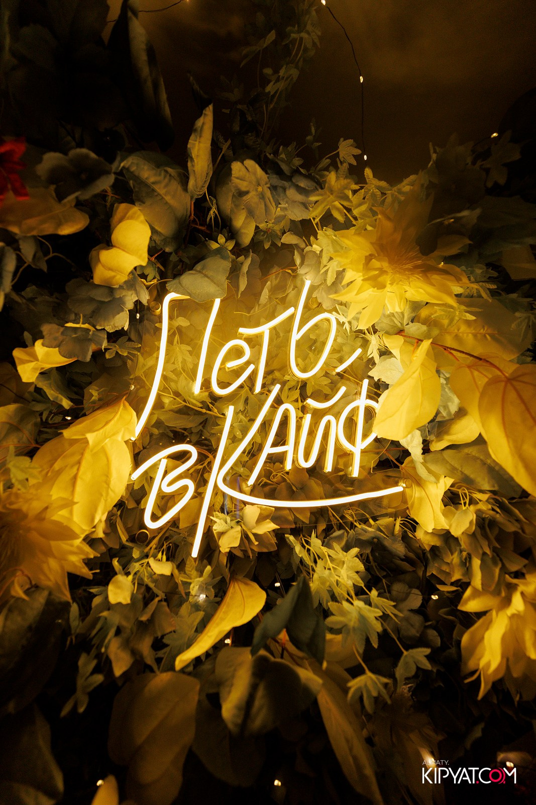 УХО И МЕДВЕДЬ НА ГАГАРИНА. КИПЯТКОМ АЛМАТЫ! Фотосъемка мероприятий в Алматы