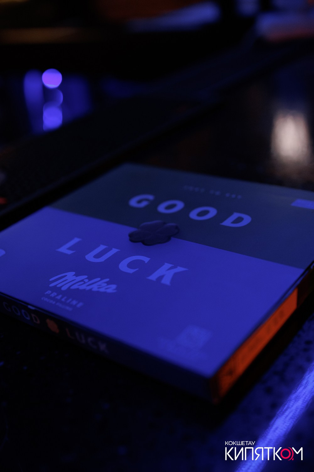 WOW QUIZ. КИПЯТКОМ КОКШЕТАУ