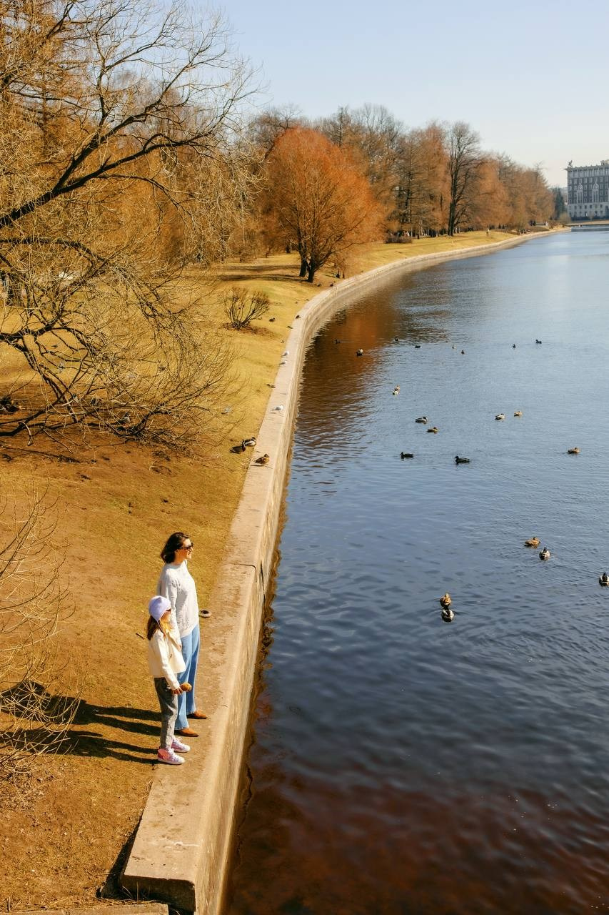 Семейное. SHIFO_TO