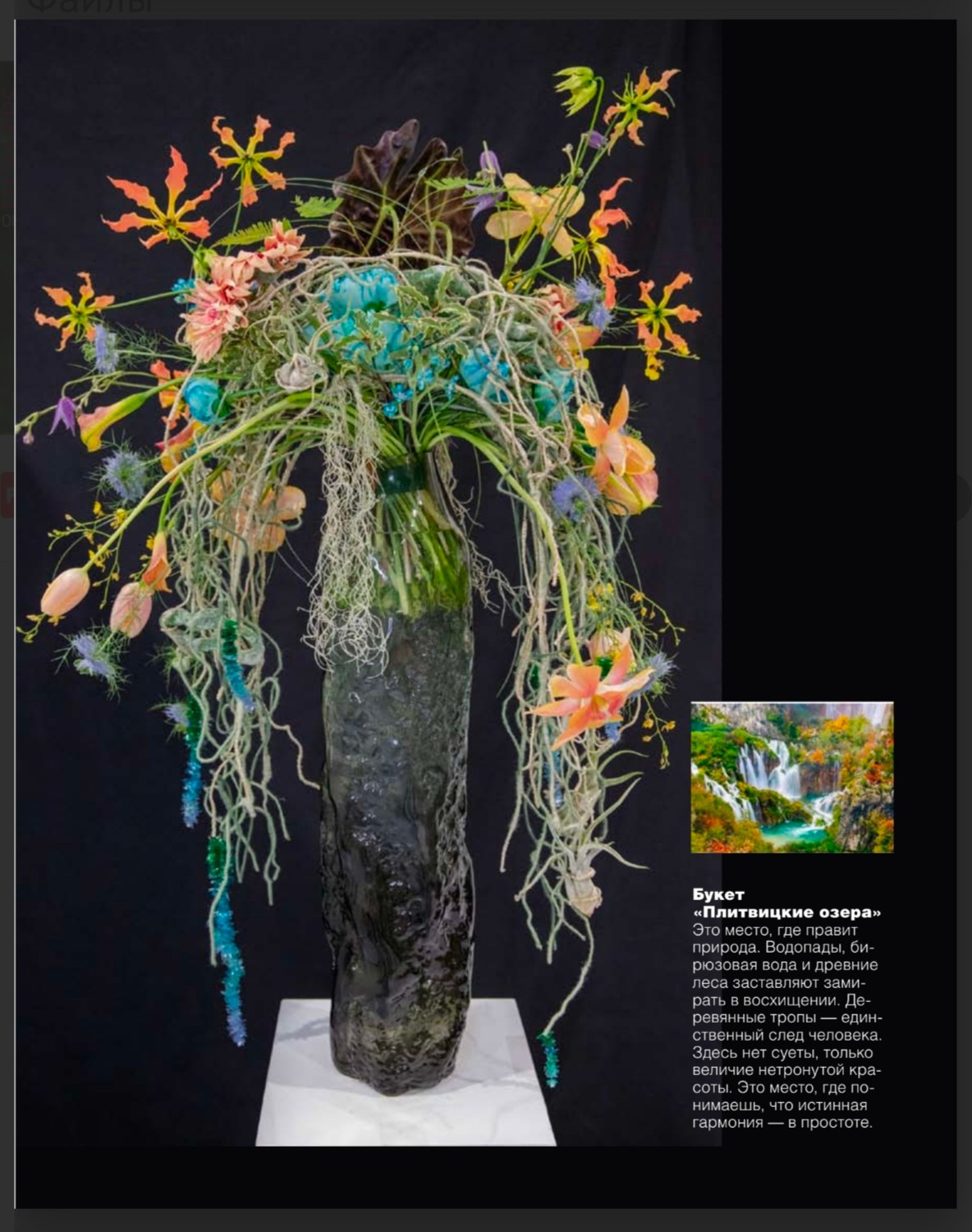 Российские журналы. Портретный фотограф в Краснодаре Надежда Елынко