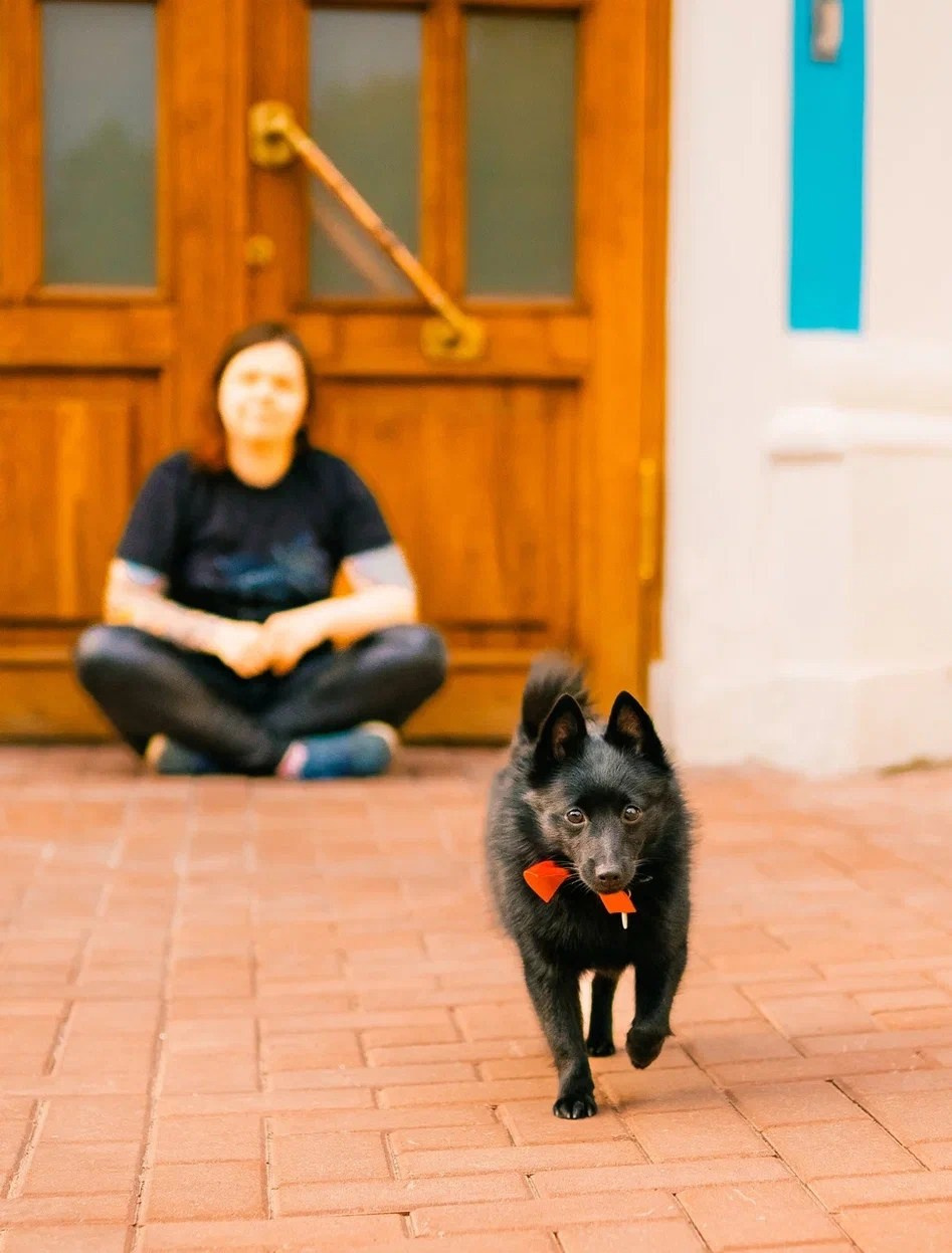 Аня и Тесс. Фотограф анималист в Спб недорого Олеся Майорова
