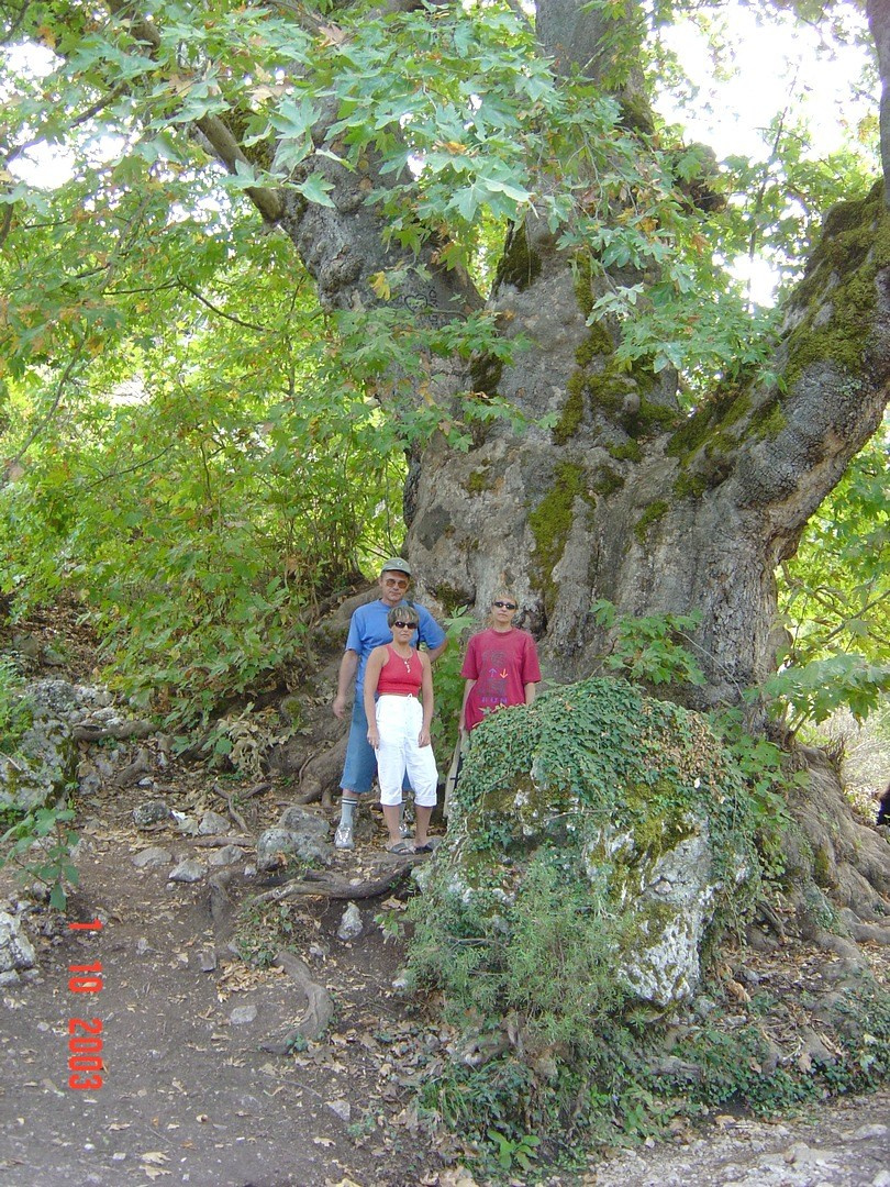 Турция, Пальмарива, 2003. Улица, люди, жизнь…