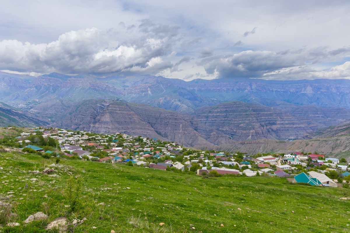 Язык Тролля. Photomantis