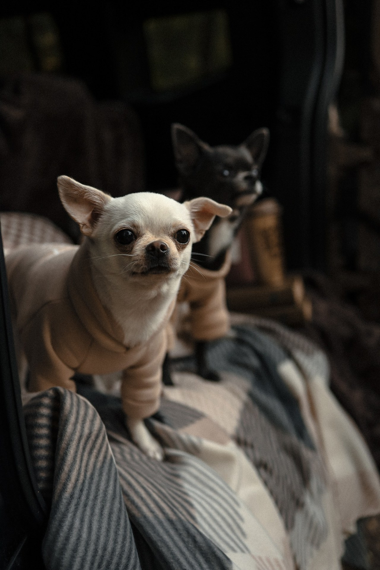 Отзывы. Свадебный и семейный фотограф Захарова Юлия