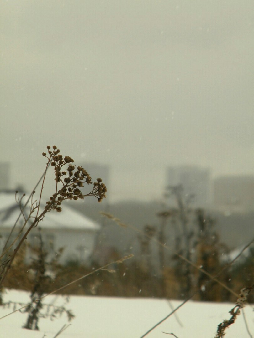 Мои первые работы. Фотограф из Москвы — DASHA NOVA | Авторская фотография в разных жанрах