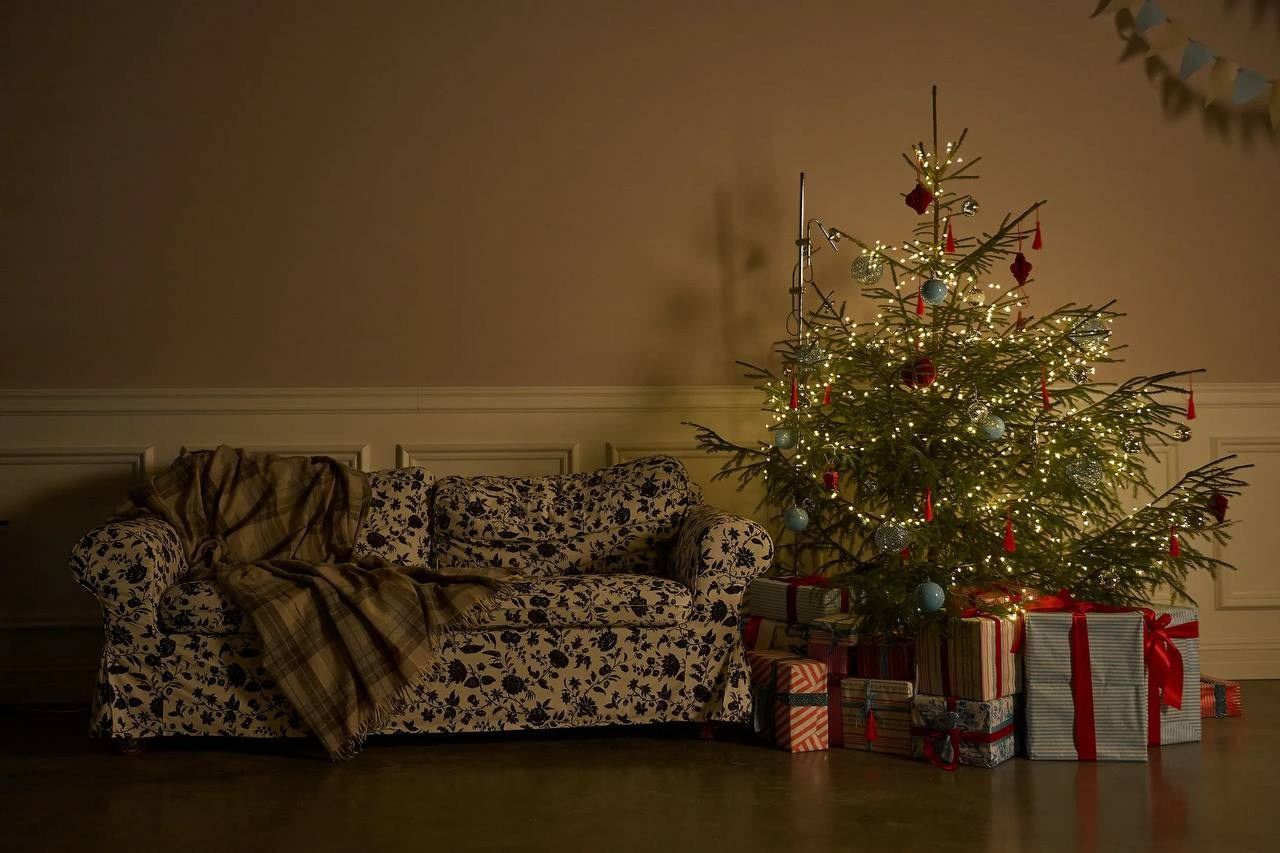 Новогодняя фотосессия в Туле. Портретный, семейный, свадебный фотограф. Бизнес, контент съёмка. Тула