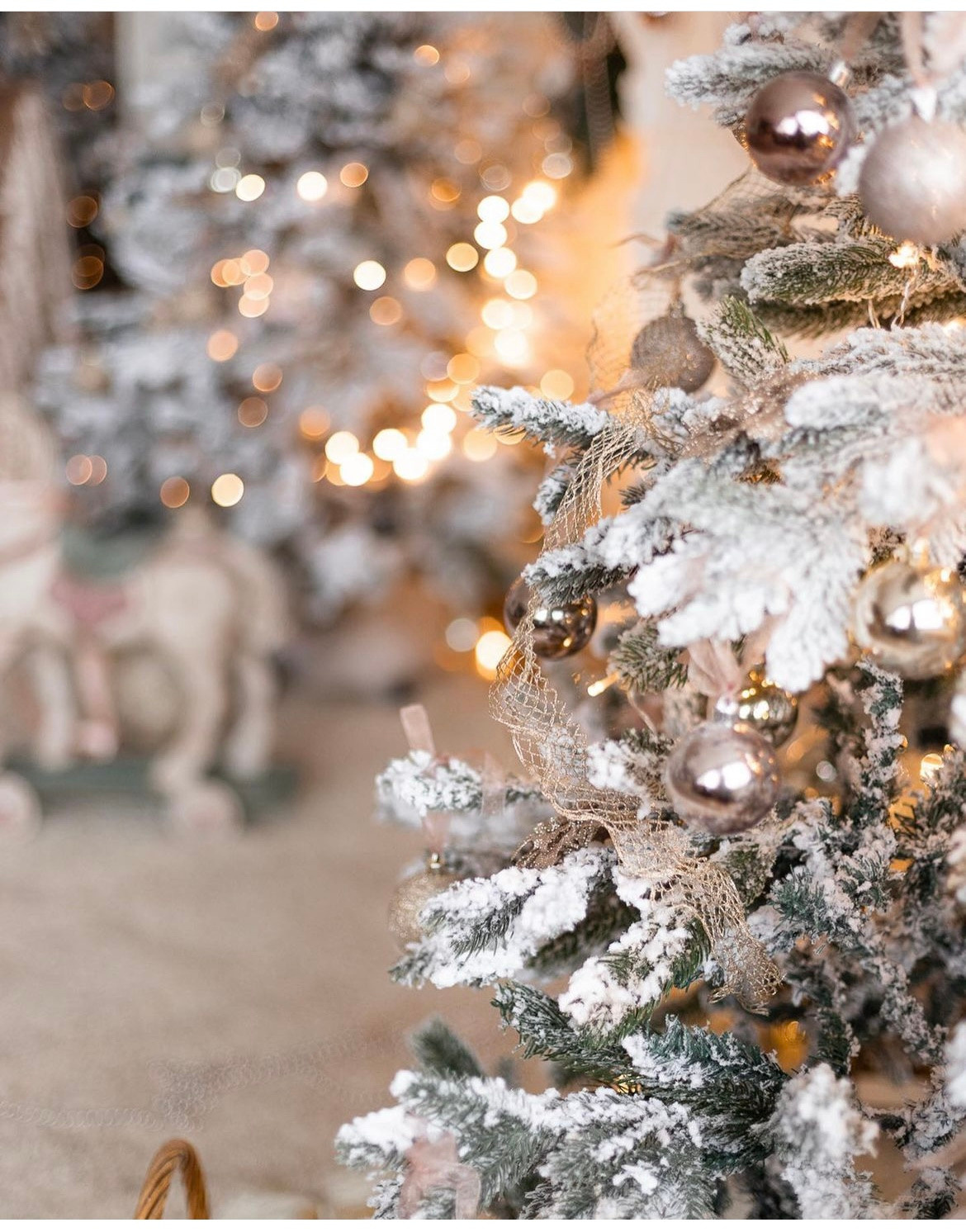 Новогодняя с символом года⭐️. Фотограф Виктория Каткова