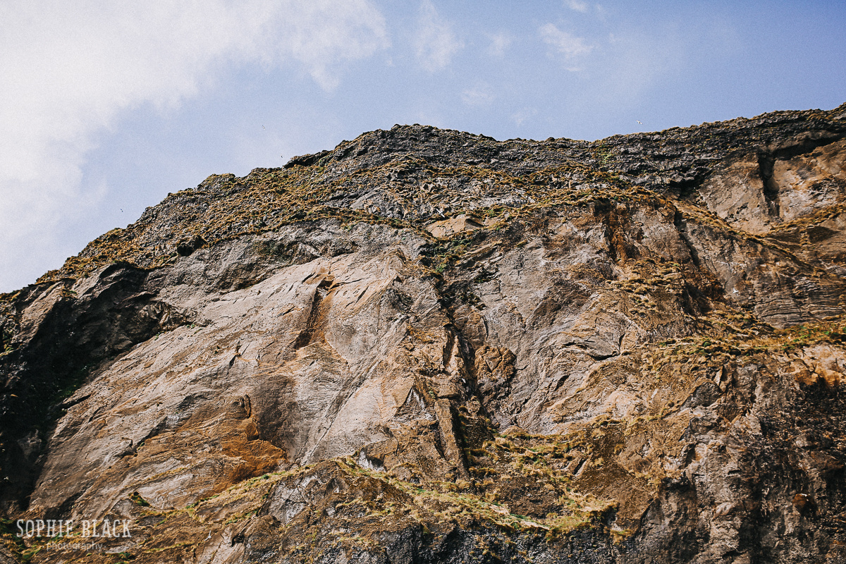 Нина и Никита. Соня Черных (sophieblack)