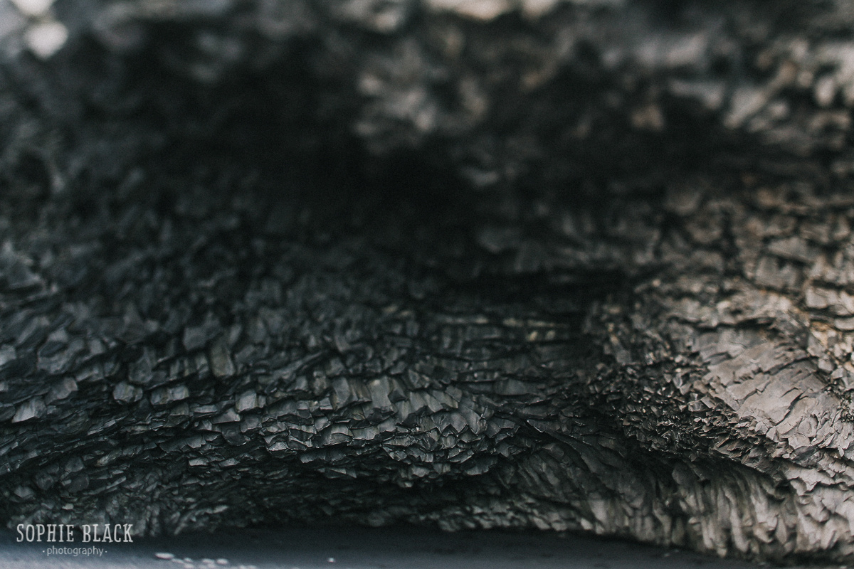 Нина и Никита. Соня Черных (sophieblack)