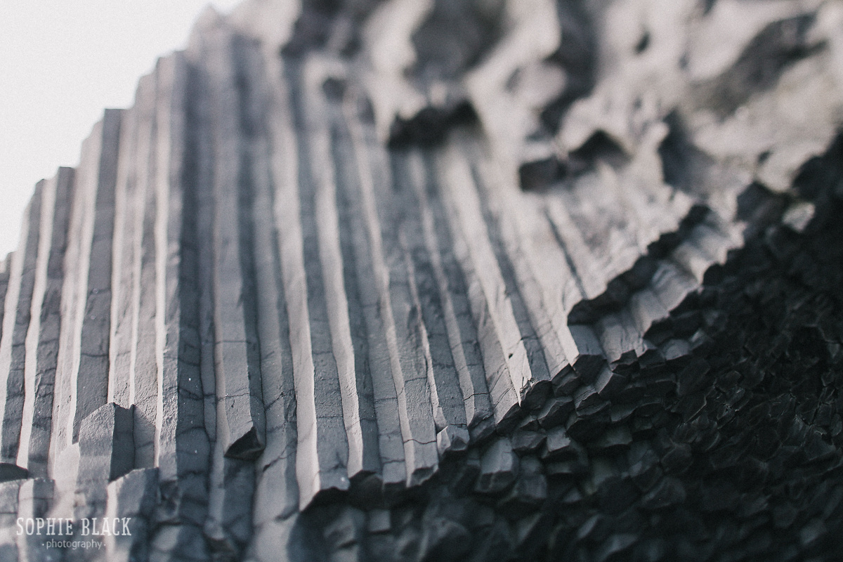 Нина и Никита. Соня Черных (sophieblack)