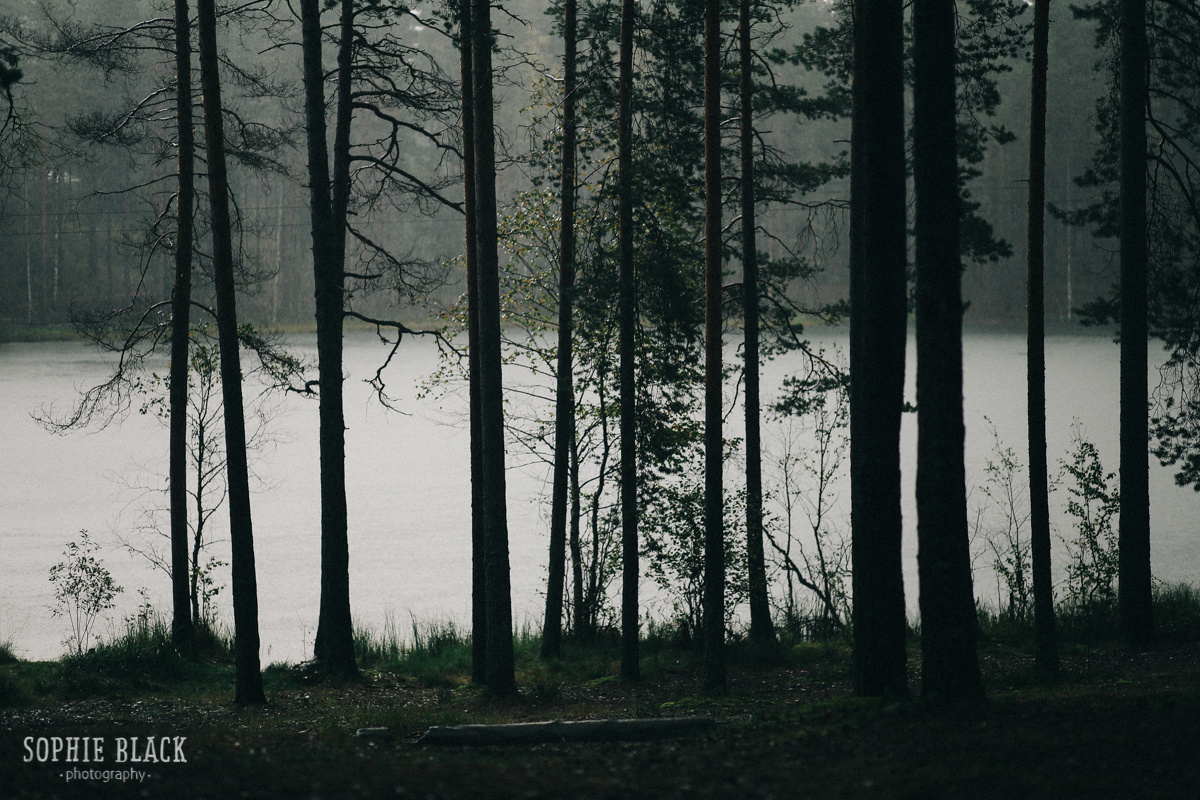 Даша и Антон. Соня Черных (sophieblack)