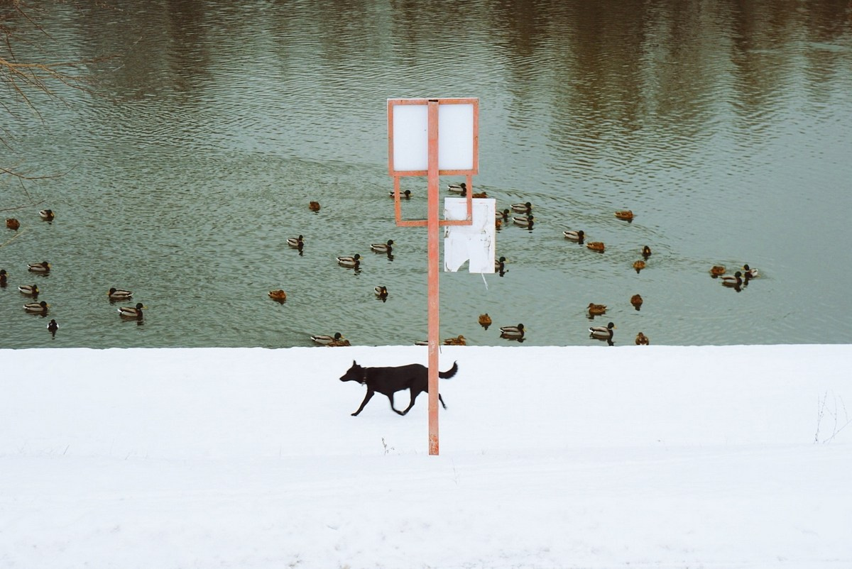 Симуляторы (Каталог № 4). Главная