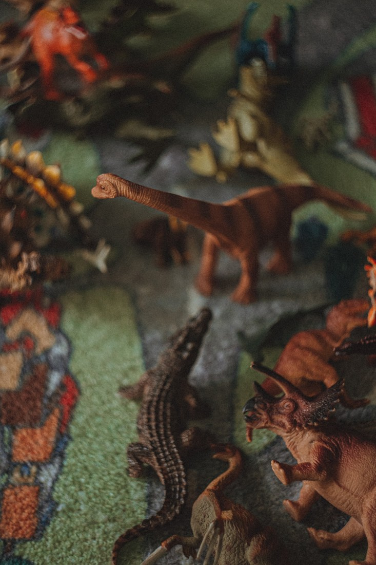 ALICE & SOFI. Портретный и Семейный фотограф в Санкт-Петербурге Rocket Alice