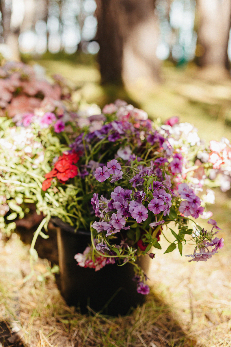 Владимир и Юля. Семейный, свадебный, портретный фотограф в Иркутске Федотова Елена