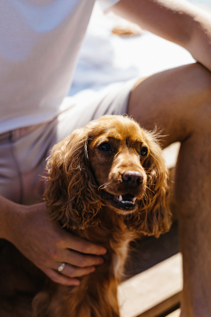 Владимир и Юля. Семейный, свадебный, портретный фотограф в Иркутске Федотова Елена