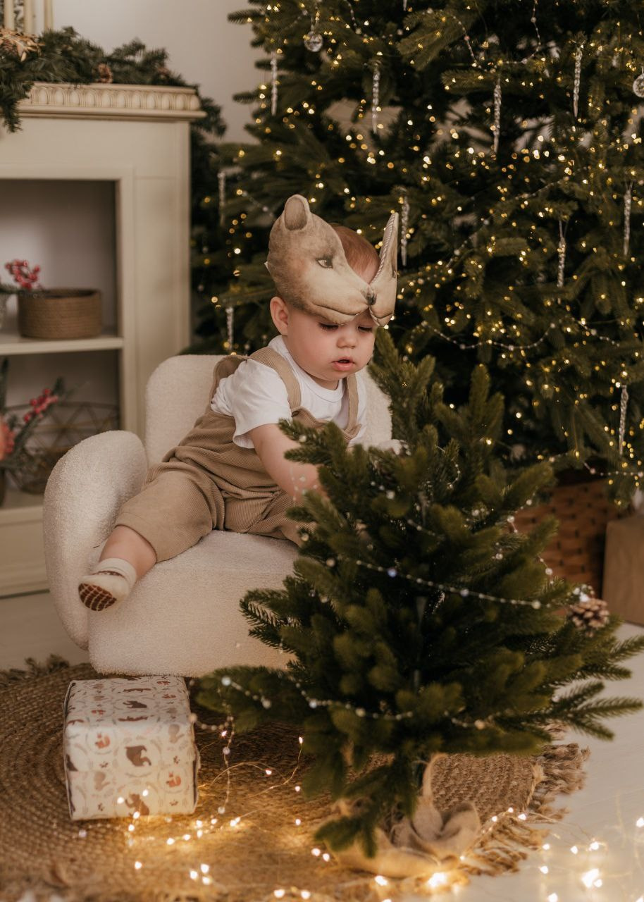 Фотостудия «Птичка» Мытищи,