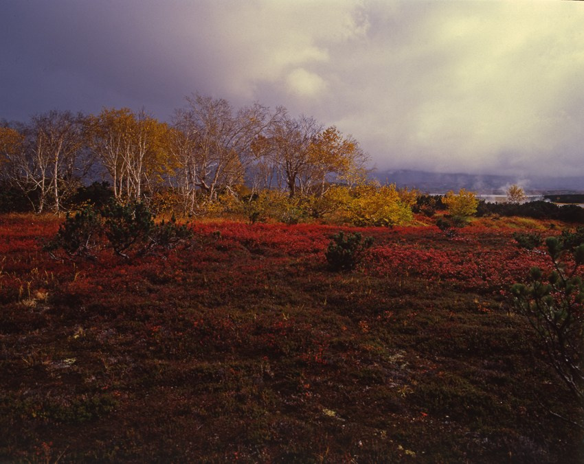 Камчатка. Кальдера Узон. ВАДИМ ГИППЕНРЕЙТЕР — ВЕЛИКИЙ ФОТОГРАФ ЗЕМЛИ РУССКОЙ