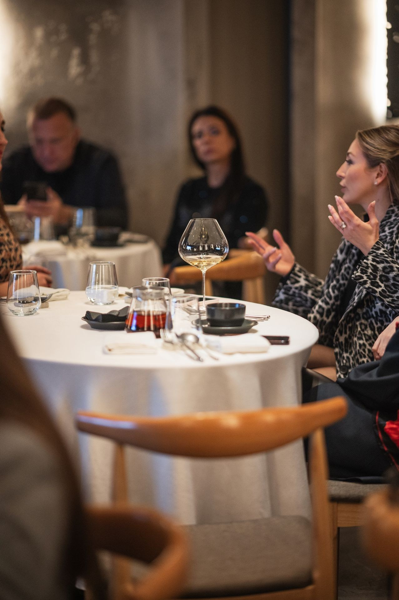 Siamese Asset — Krasnoyarsk 5.03.2025. Фотогалерея Kalinka Thailand