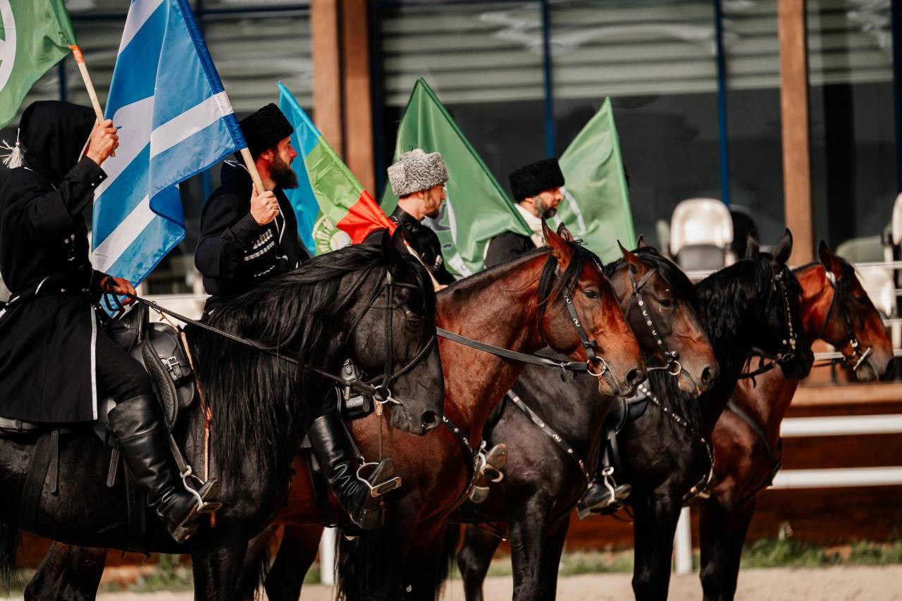 ЭКВИРОС — СЕНТЯБРЬ 2025. Куракина Дарья • Конный фотограф