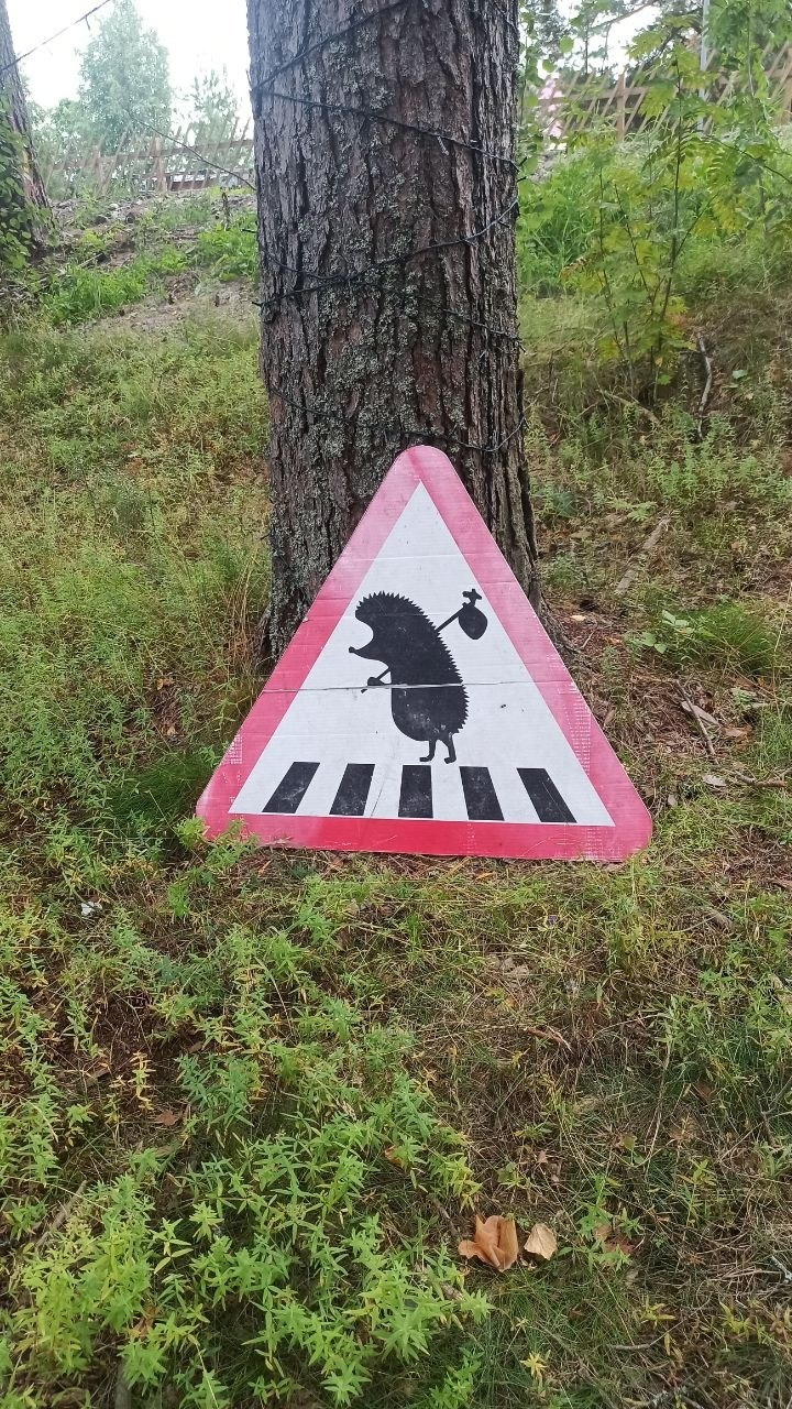 Карелия | 16-18.08.24. Галерея Фантим