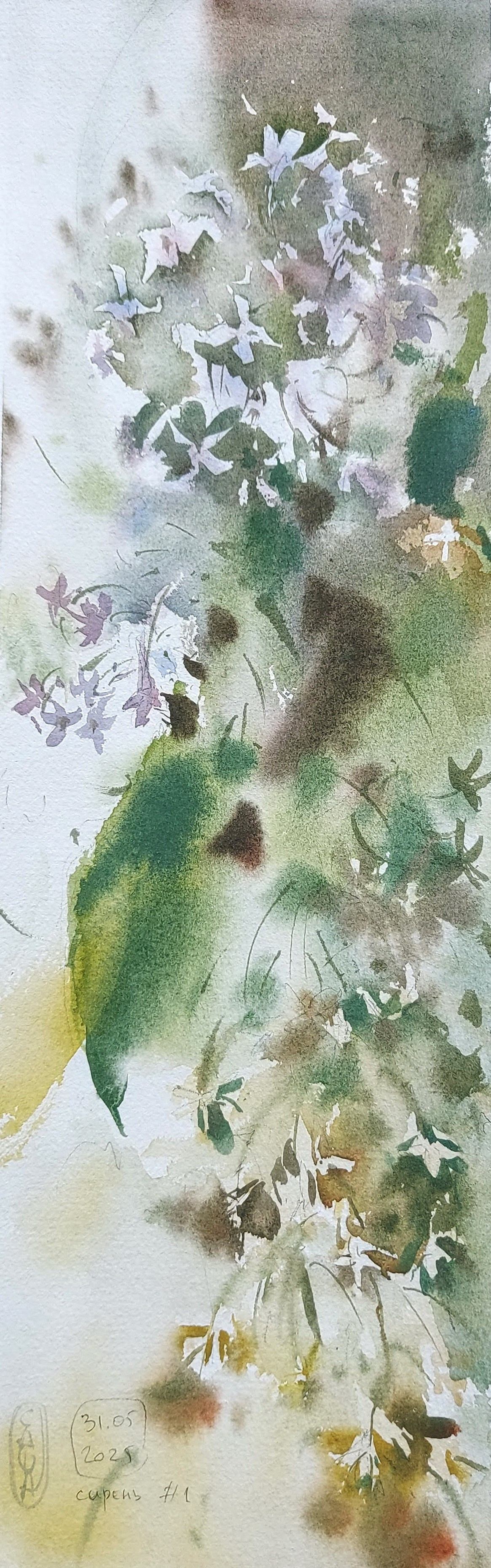 Flowers. Alexander Manaenkov | Watercolor Artist from Siberia