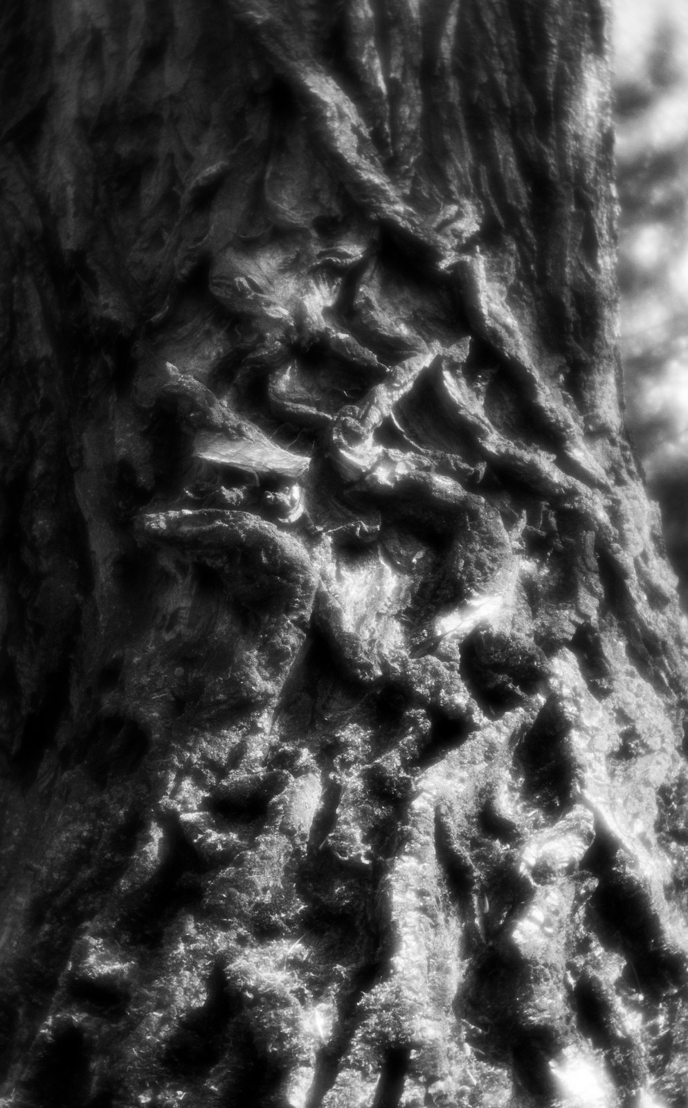 Portfolio. Estetyka
