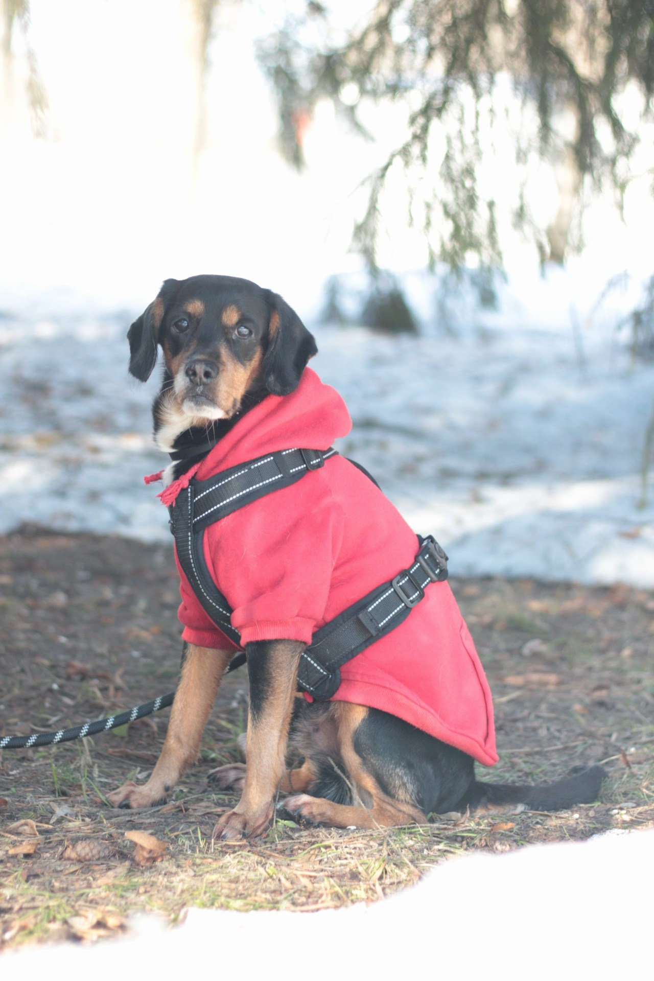 Маша и Кекс. Катя Попова|ЛайфСтайл фотограф