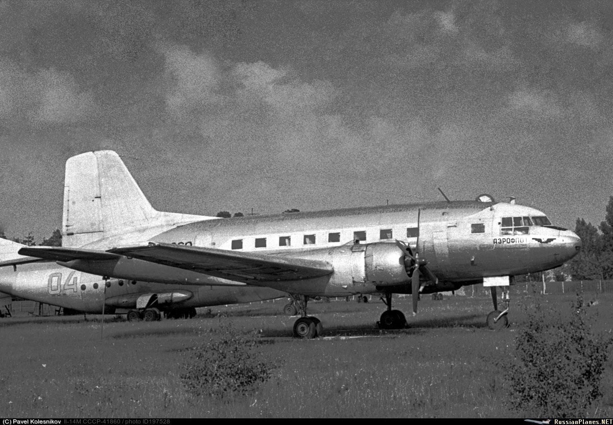 Ил-14 (Монино) — уничтожен. Фотоальбом показывающий увлекательный мир авиации и мир медведей Андрея Иванова