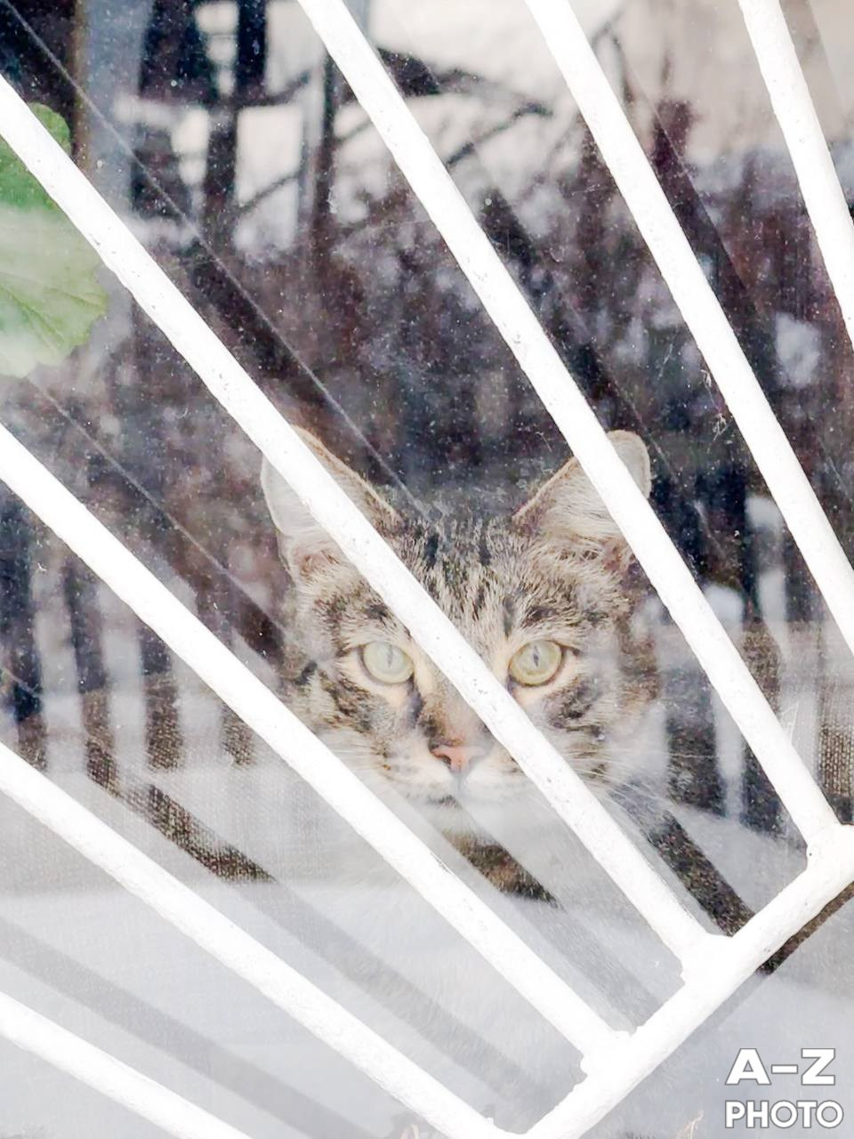 #ФОТОНЕДЕЛИ 15.02.2026. Женский семейный фотограф Тула Москва Захарова Анна